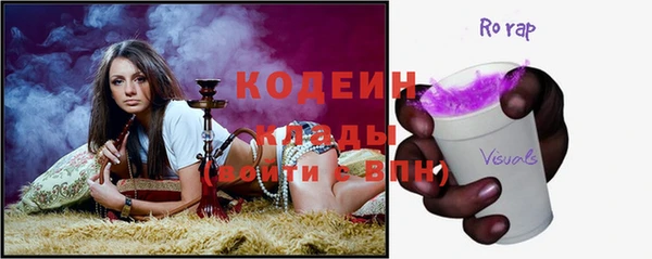 индика Инта