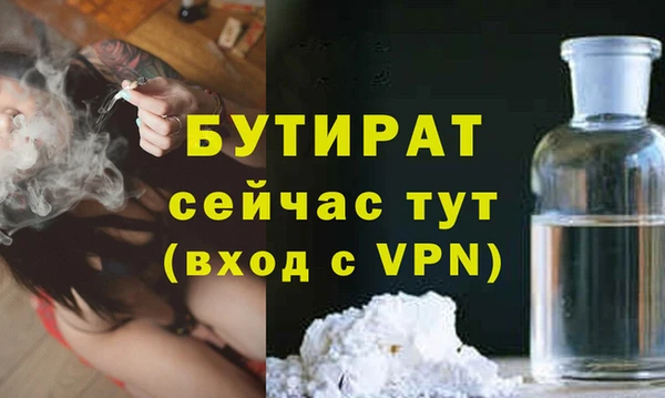 индика Инта