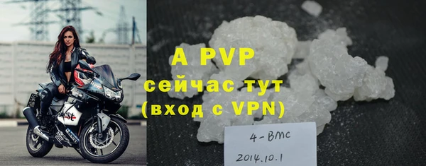 индика Инта