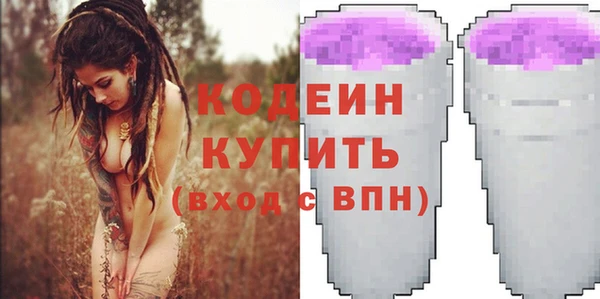 стафф Иннополис