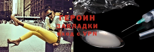 индика Инта