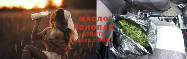 индика Инта