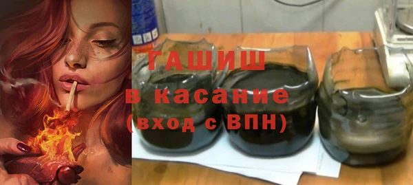индика Инта