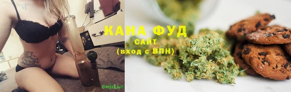 индика Инта
