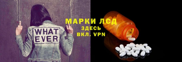индика Инта