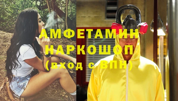индика Инта