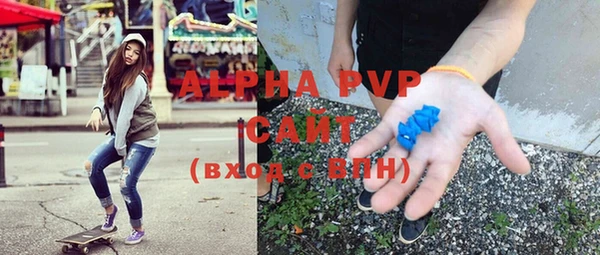 стафф Иннополис