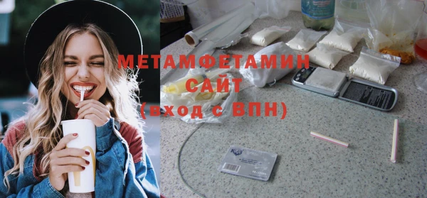 индика Инта