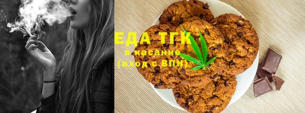 индика Инта