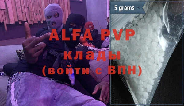 стафф Иннополис