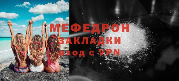 индика Инта