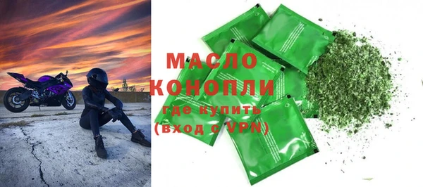 индика Инта
