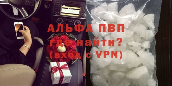 индика Инта
