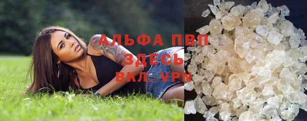стафф Иннополис