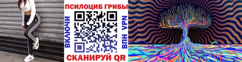 Псилоцибиновые грибы Cubensis Петрозаводск