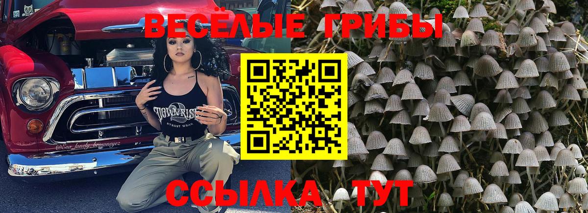 Псилоцибиновые грибы GOLDEN TEACHER Петрозаводск