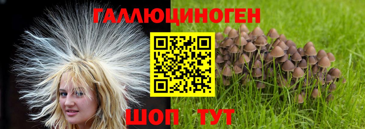 Псилоцибиновые грибы ЛСД  Галлюциногенные грибы мухоморы  Вход с VPN  Петрозаводск 
